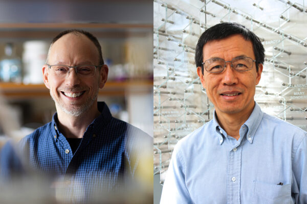 Tim Bugni and Lian Yu