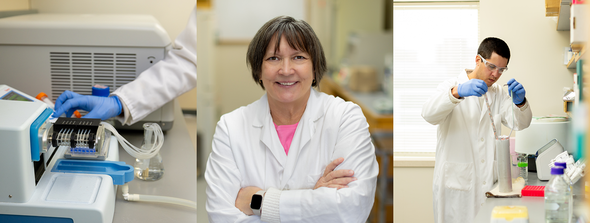 Photos from the lab of Professor Mary Hayney, including a portrait of Mary, a gloved hand operating a small machine, and a lab member holding a long cylinder by a handle