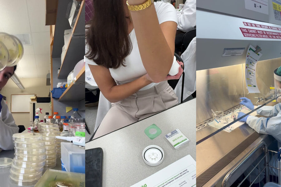 Three video stills stitched together, including one taken in a lab with a student holding up agar plates, one with a student placing a Dexcom on her arm, and another showing a sterile compounding room