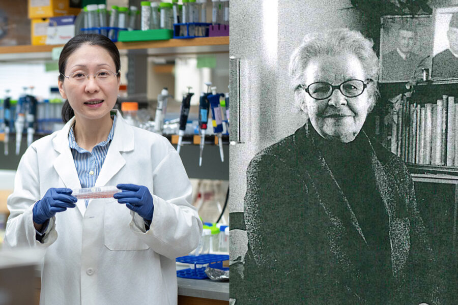 Two photos: one of Jiaoyang Jiang in her lab, and one black-and-white of Anna Apinis