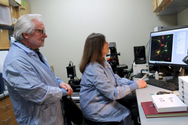 Jeff and Delinda Johnson work on a computer