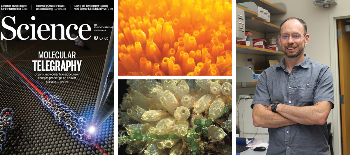 Tim Bugni banner image featuring the cover of the Science issue featuring his research